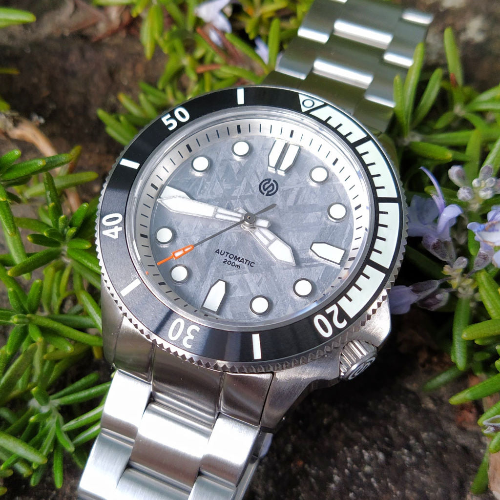 Seiko Skx Meteorite Dial | ppgbbe.intranet.biologia.ufrj.br